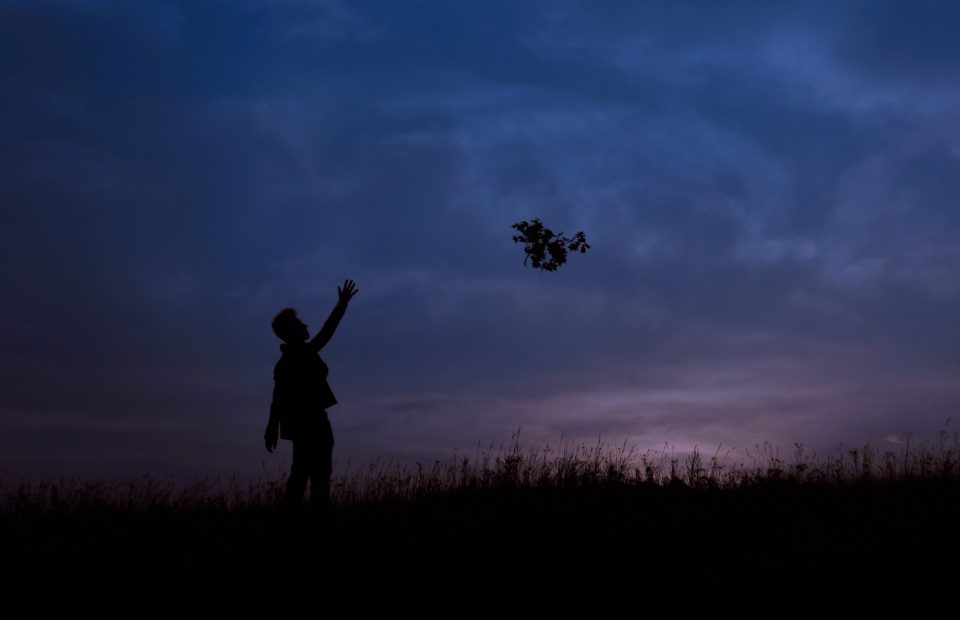 A silhouette of a child reaching up towards a flying leaf or small branch against a twilight sky with subtle cloud formations and a grassy hill in the foreground.