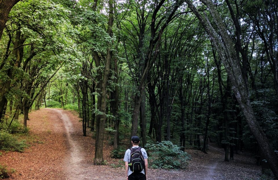 A person wearing a backpack and cap standing at a fork in a lush green forest trail, with one path leading uphill on the left and the other downhill on the right.