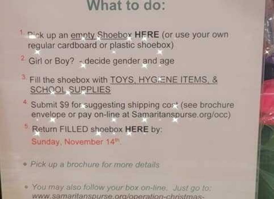 248181888 4549496911760523 5409660686054747417 n