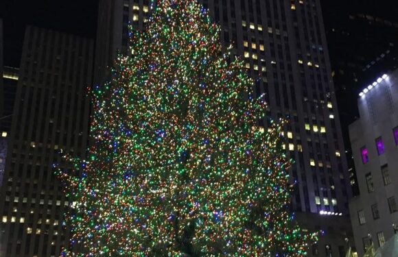 A large, decorated Christmas tree with multicolored lights is situated outdoors in an urban area at night, surrounded by tall office buildings.