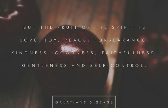 A dark background with a partially visible apple and a purple plum on a wooden surface, overlaid with a quote from Galatians emphasizing love, peace, and kindness.