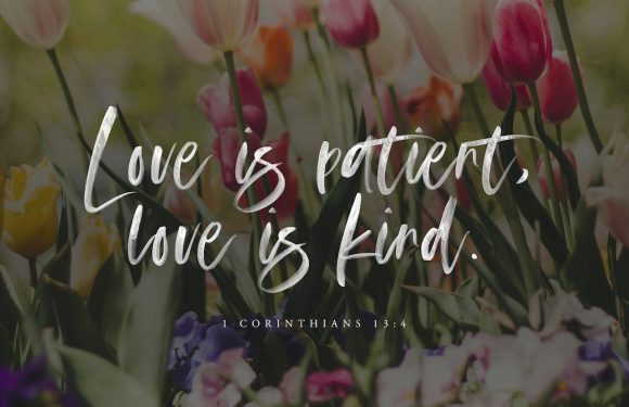 Colorful tulips and pansies with a quote overlaid: "Love is patient, love is kind." from 1 Corinthians 13:4, set against a bright, natural background.