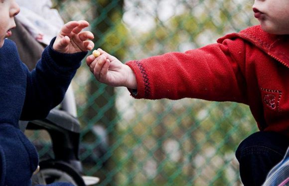 Two children exchanging a small snack outdoors, one wearing a red jacket and the other a navy blue jacket, behind a green chain-link fence.