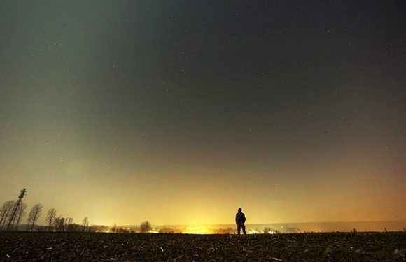 A person standing alone in a field under a starry night sky with a distant glow on the horizon.