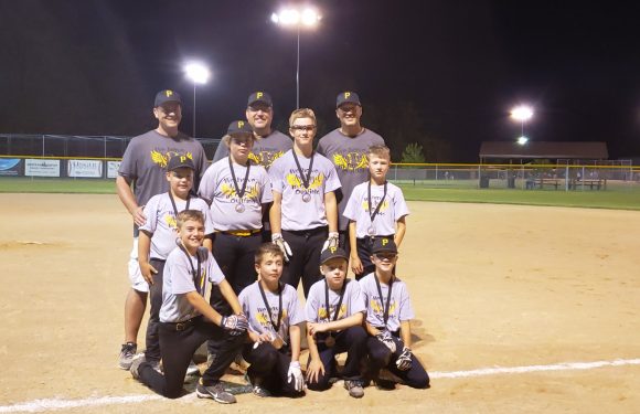 A youth baseball team in gray uniforms and black caps with a yellow "P" logo, posing with medals on a lit baseball field at night.