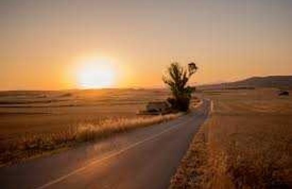 A road winding through open farmland at sunset, with a small tree and dry fields on either side under a clear sky.
