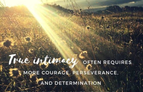 Sunlight shining over a field of tall grasses and wildflowers at sunrise or sunset, with mountains and clouds in the distance.