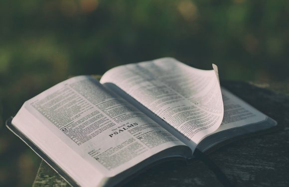An open Bible resting on a wooden surface outdoors with a blurred natural background, pages slightly curved, highlighting PSALMS on the left page.