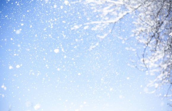 Snow is falling against a light blue sky with snow-covered tree branches in the upper right corner.