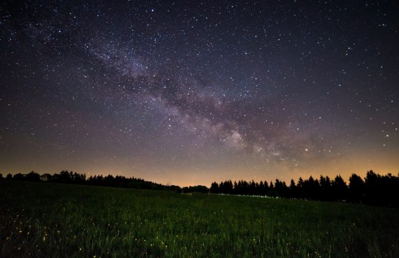 A starry night sky over a grassy field with trees on the horizon, showcasing the Milky Way galaxy stretching across the sky.