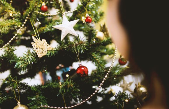A decorated Christmas tree with red, gold, and silver ornaments, a silver star, pearl garland, and gold bow, with a person’s blurred face on the right.