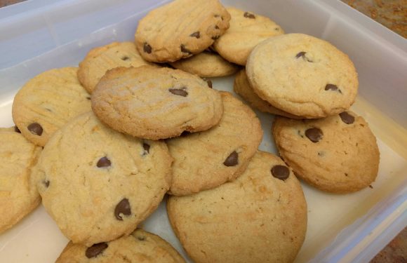 Freshly baked chocolate chip cookies in a plastic container.