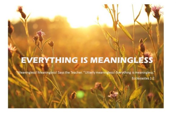 Sunlit wildflowers in a field at sunrise with a quote about the meaning of everything from Ecclesiastes 1:2 overlayed in white text.