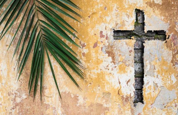 A yellow, weathered wall with peeling paint and a small cross-shaped hole revealing bricks behind, partially covered by a large green palm leaf.