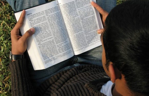 A person sitting outdoors on grass, reading a Bible with a transparent overlay on the pages, wearing a striped black and brown sweater and a smartwatch.