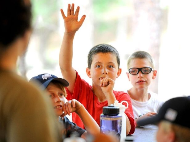 Child raising hand in class