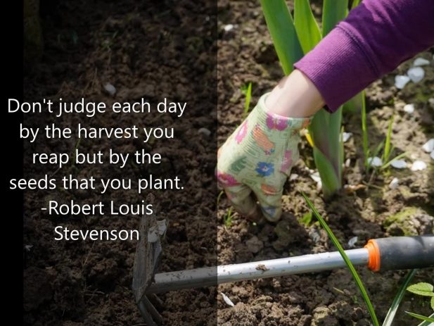 Digging in the garden soil