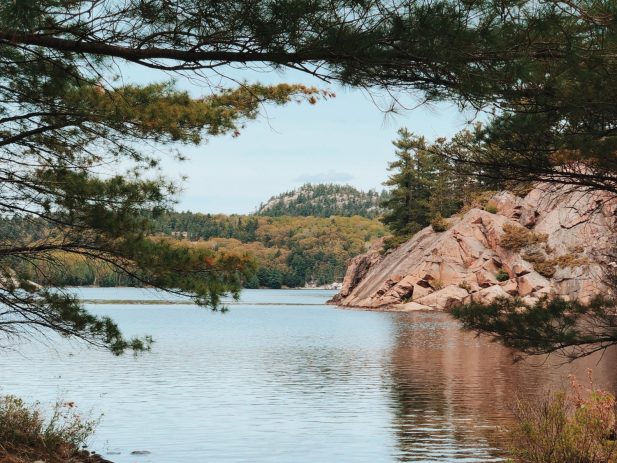 Heberti-almeida-1-i7mqs MO7A-unsplash