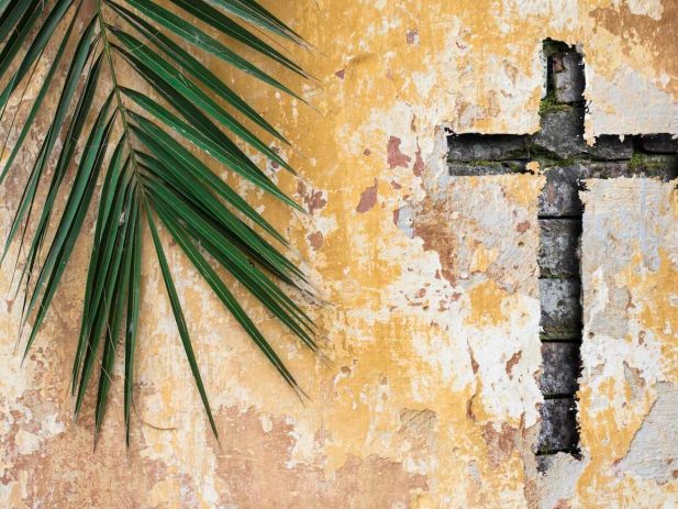 Palm branch and cross