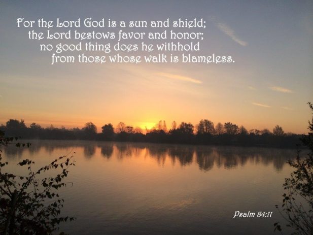 Psalm 84:11