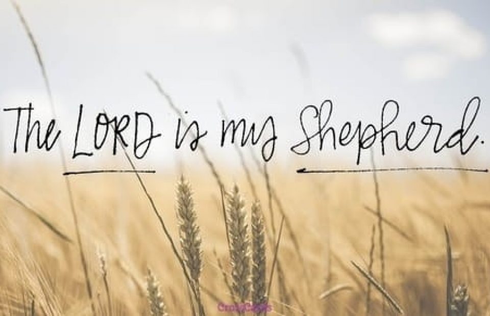 Tuesday Truth - I Shall not be in Want