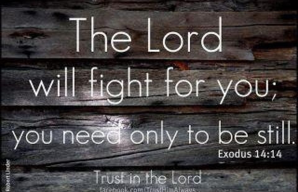 Wooden background with white text reading, "The Lord will fight for you; you need only to be still. Exodus 14:14. Trust in the Lord."