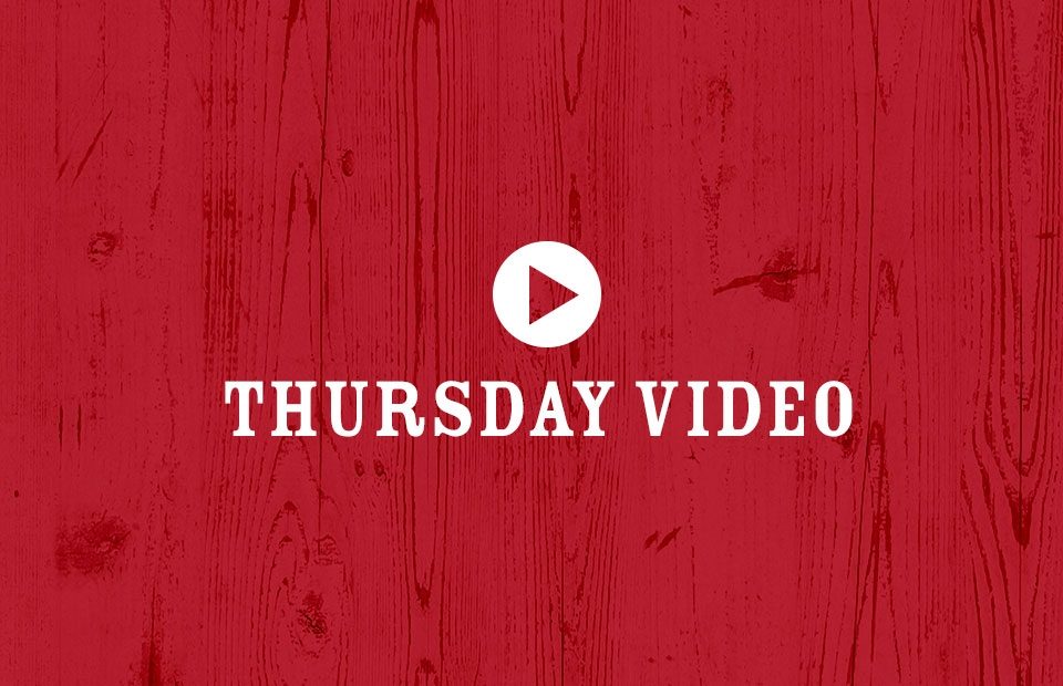 Red wooden background with white text that reads "Thursday Video" and a play button icon in the center.