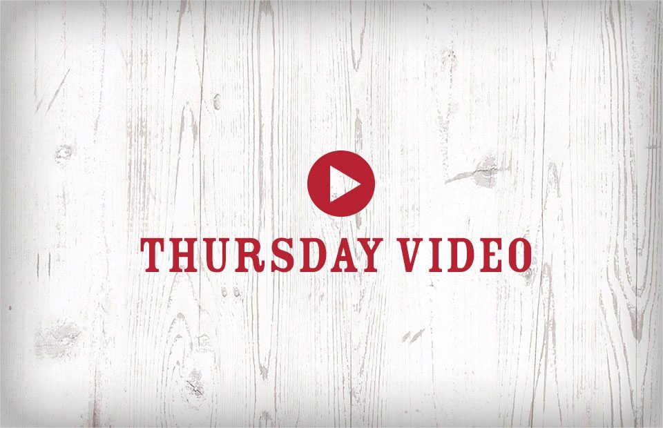 White wooden background with red play button and text reading "Thursday Video" in red, centered in the image.