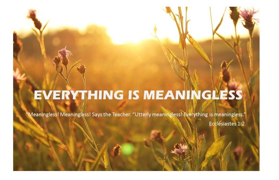 Sunlit wildflowers in a field at sunrise with a quote about the meaning of everything from Ecclesiastes 1:2 overlayed in white text.